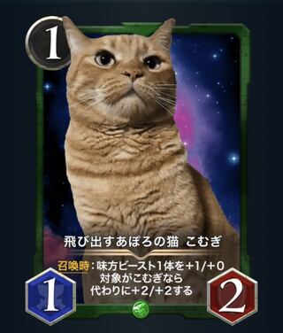 こむぎ　2枚セット　レベル36と36