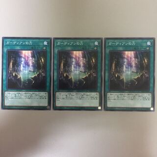 ガーディアンの力