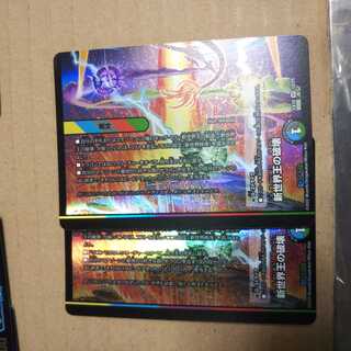 New World Destruction 2-card set