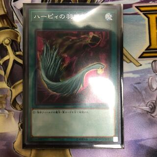 ハーピィの羽根帚