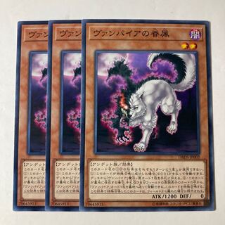 6629 Vampire Retainer ☆9221