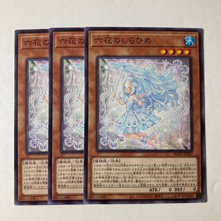 6630 Rokka no Shirahime ☆9222