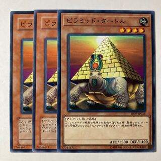 6635 Pyramid Turtle