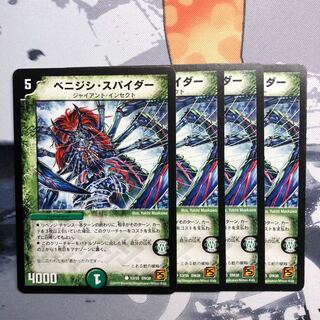 ベニジシ・スパイダー