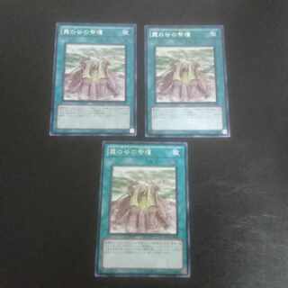 D154 Shrine of Mist Valley Rare JP060