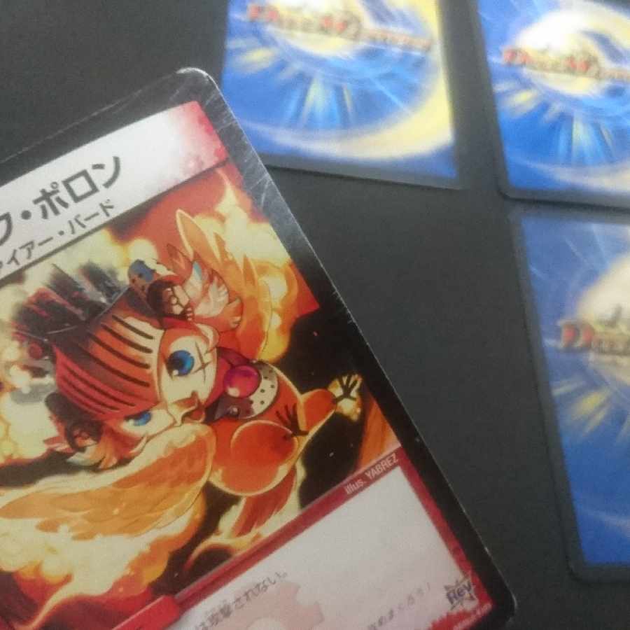 D161 Cook Polon Totto Pipicchi C 51/55