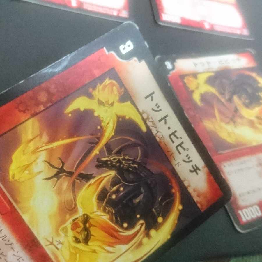 D161 Cook Polon Totto Pipicchi C 51/55