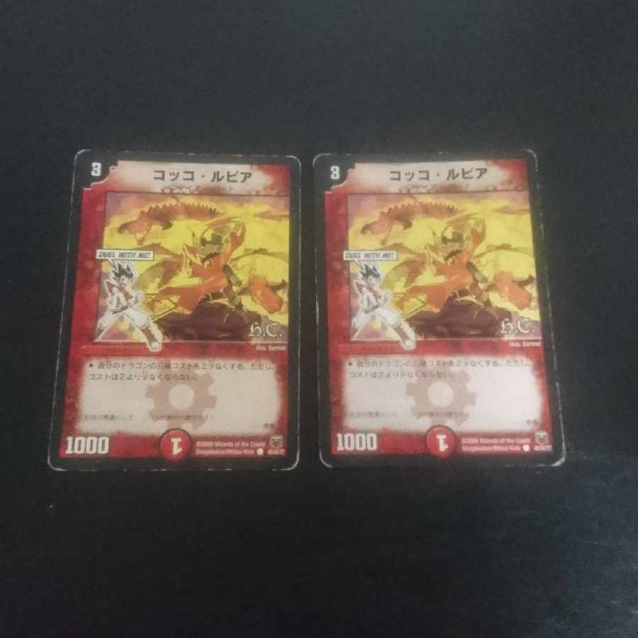 D161 Cook Polon Totto Pipicchi C 51/55