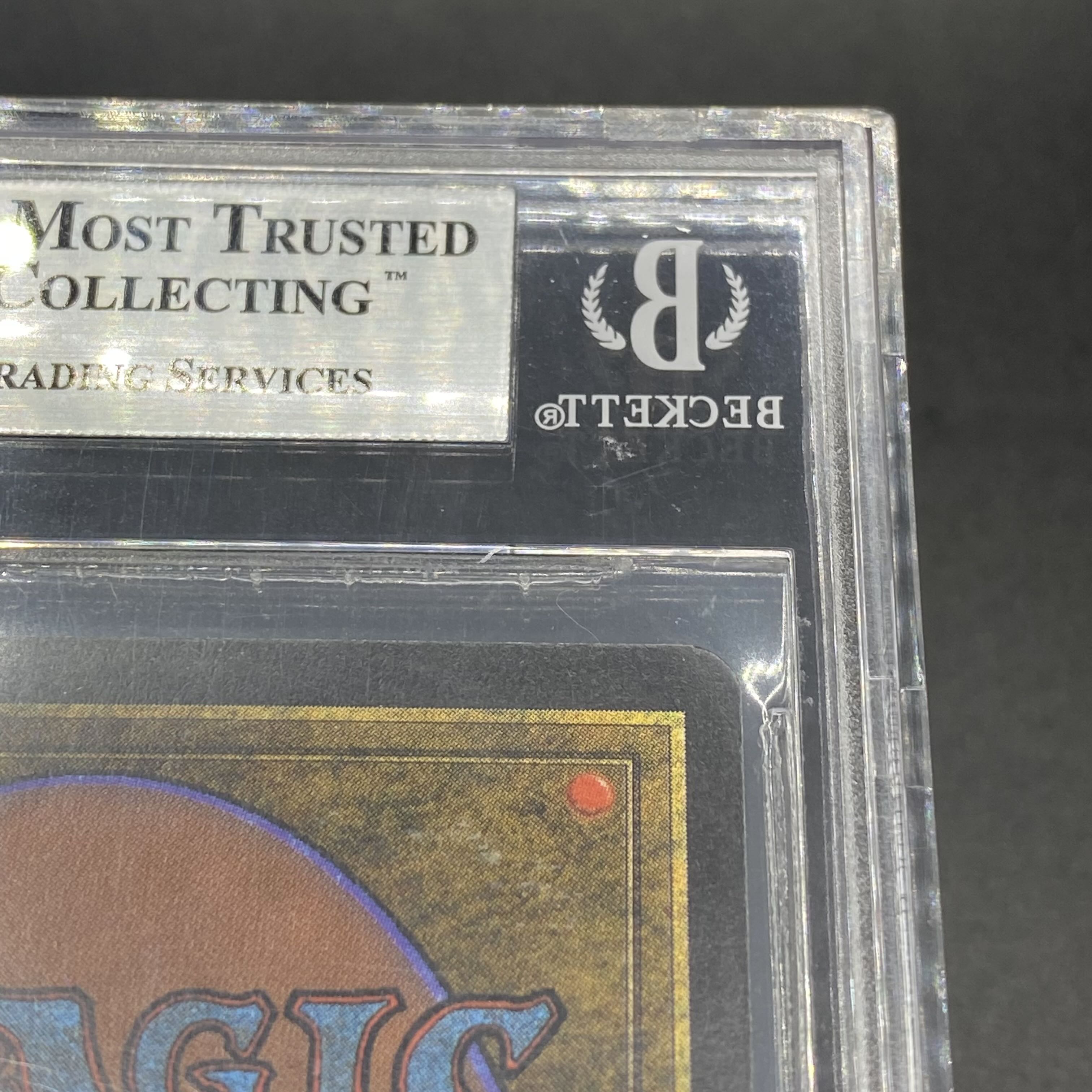 マジック：ザ・ギャザリング Tropical  LEB BGS9 Tropical Island》［LEB］BGS9の通販 土日祝休 magi公式(委託
