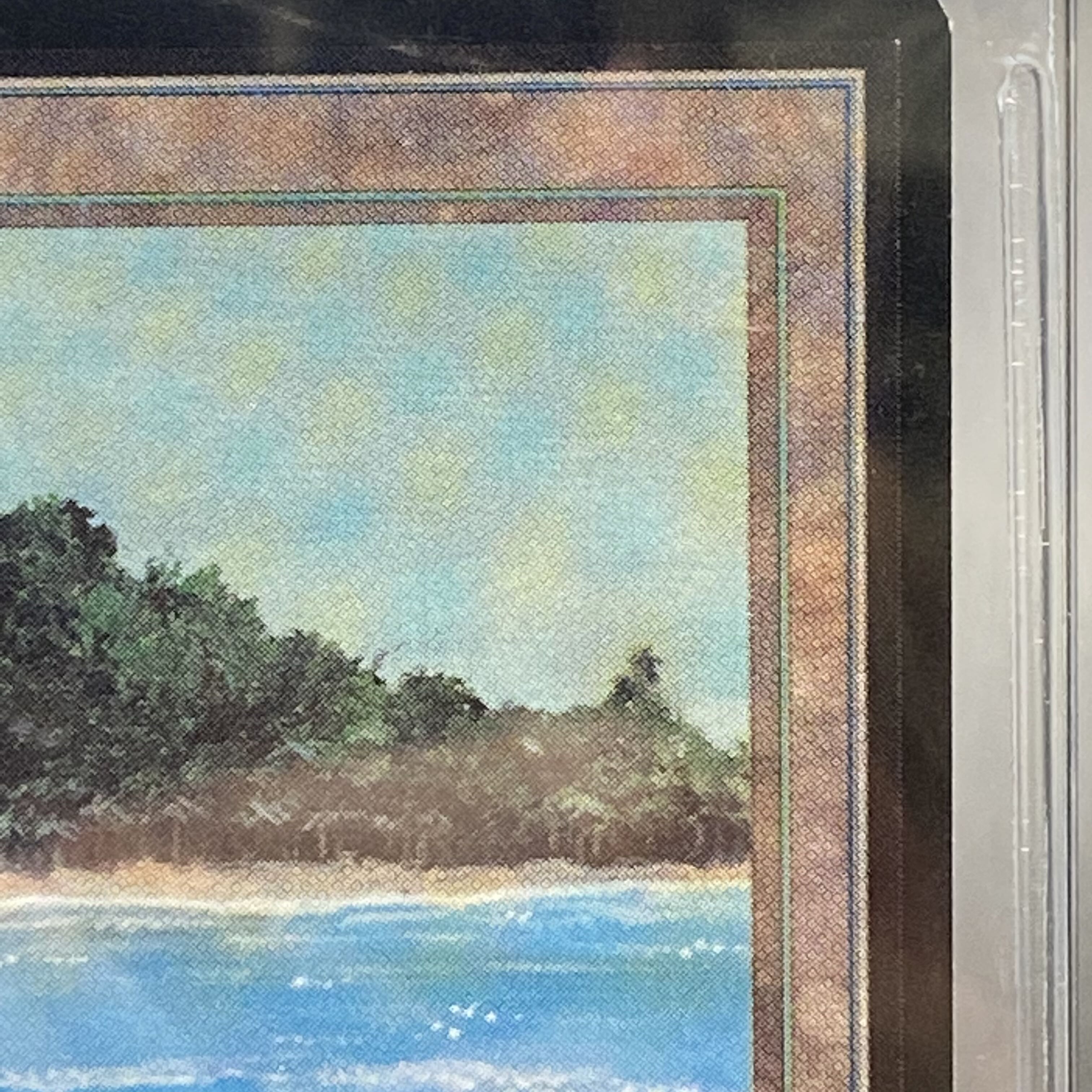 マジック：ザ・ギャザリング Tropical  LEB BGS9 Tropical Island》［LEB］BGS9の通販 土日祝休 magi公式(委託