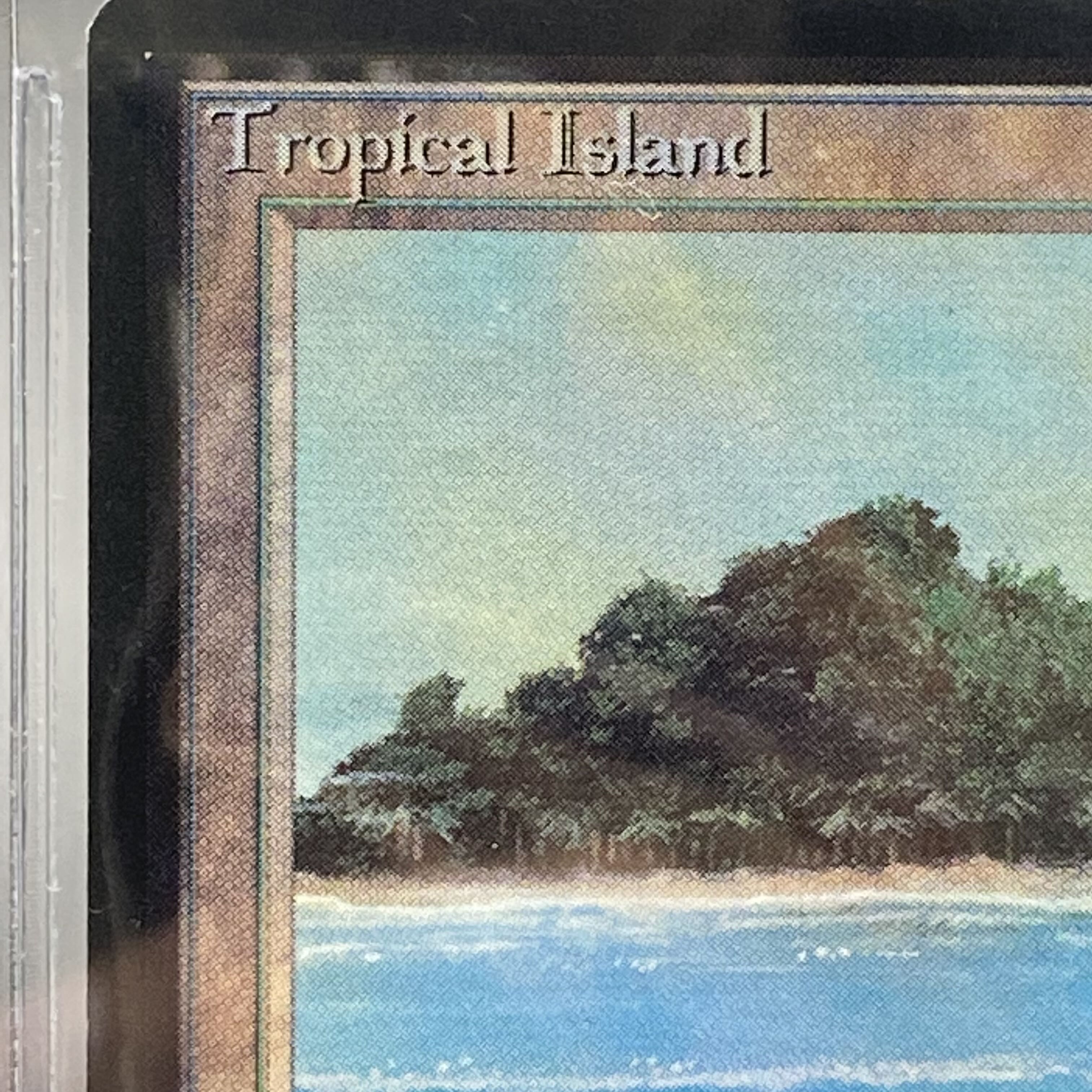 マジック：ザ・ギャザリング Tropical  LEB BGS9 Tropical Island》［LEB］BGS9の通販 土日祝休 magi公式(委託