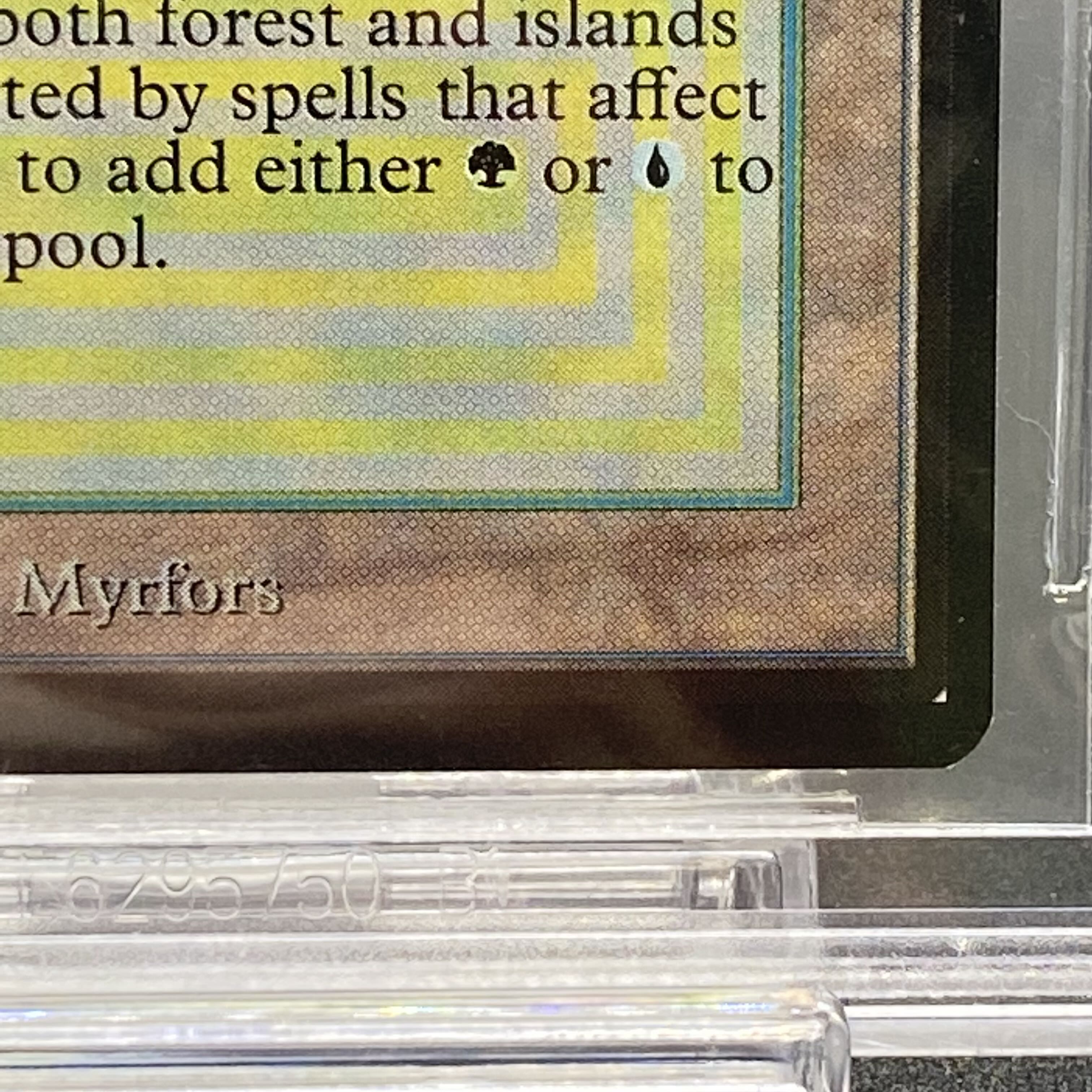 Tropical Island》［LEB］BGS9の通販 土日祝休 magi公式(委託