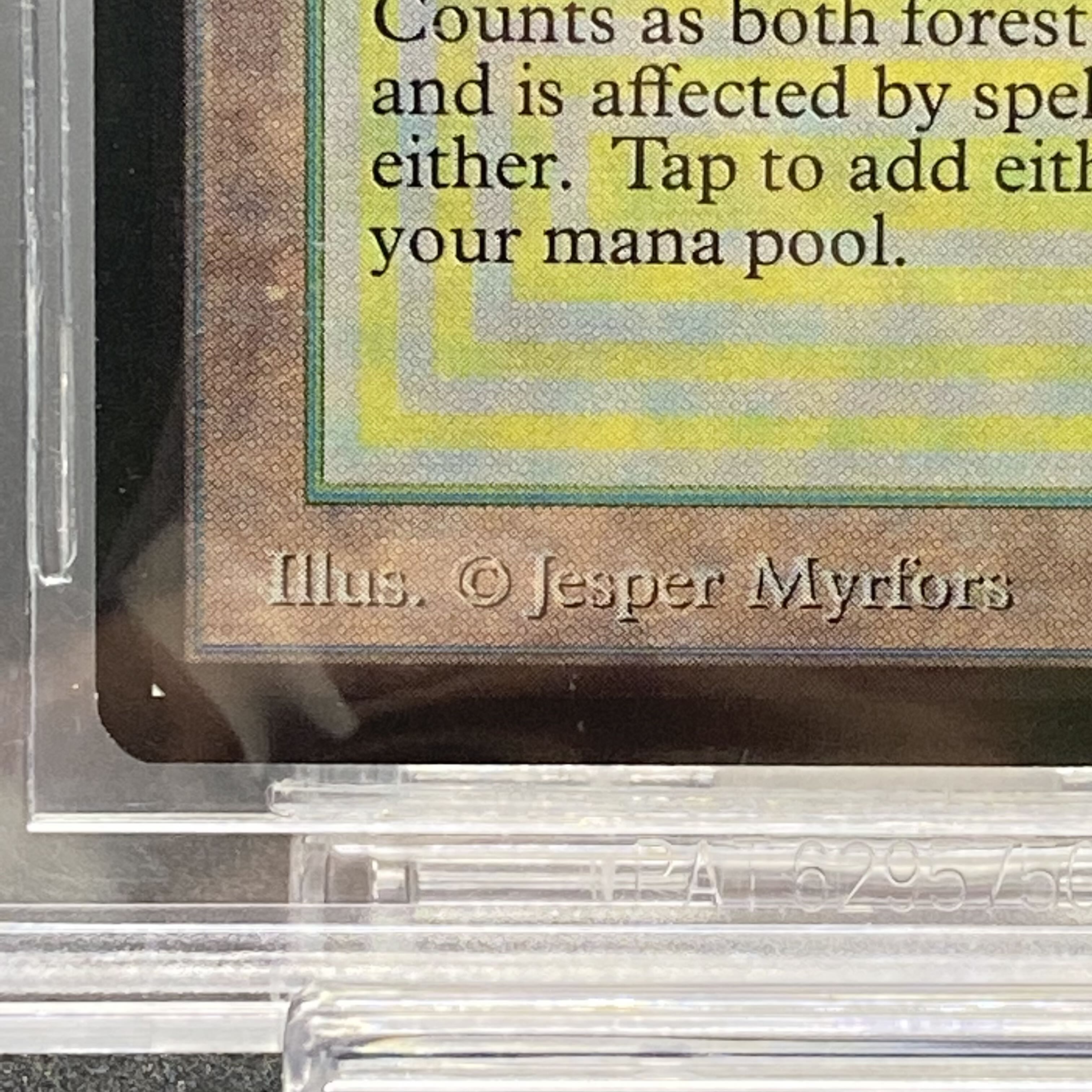 Tropical Island [LEB] BGS9