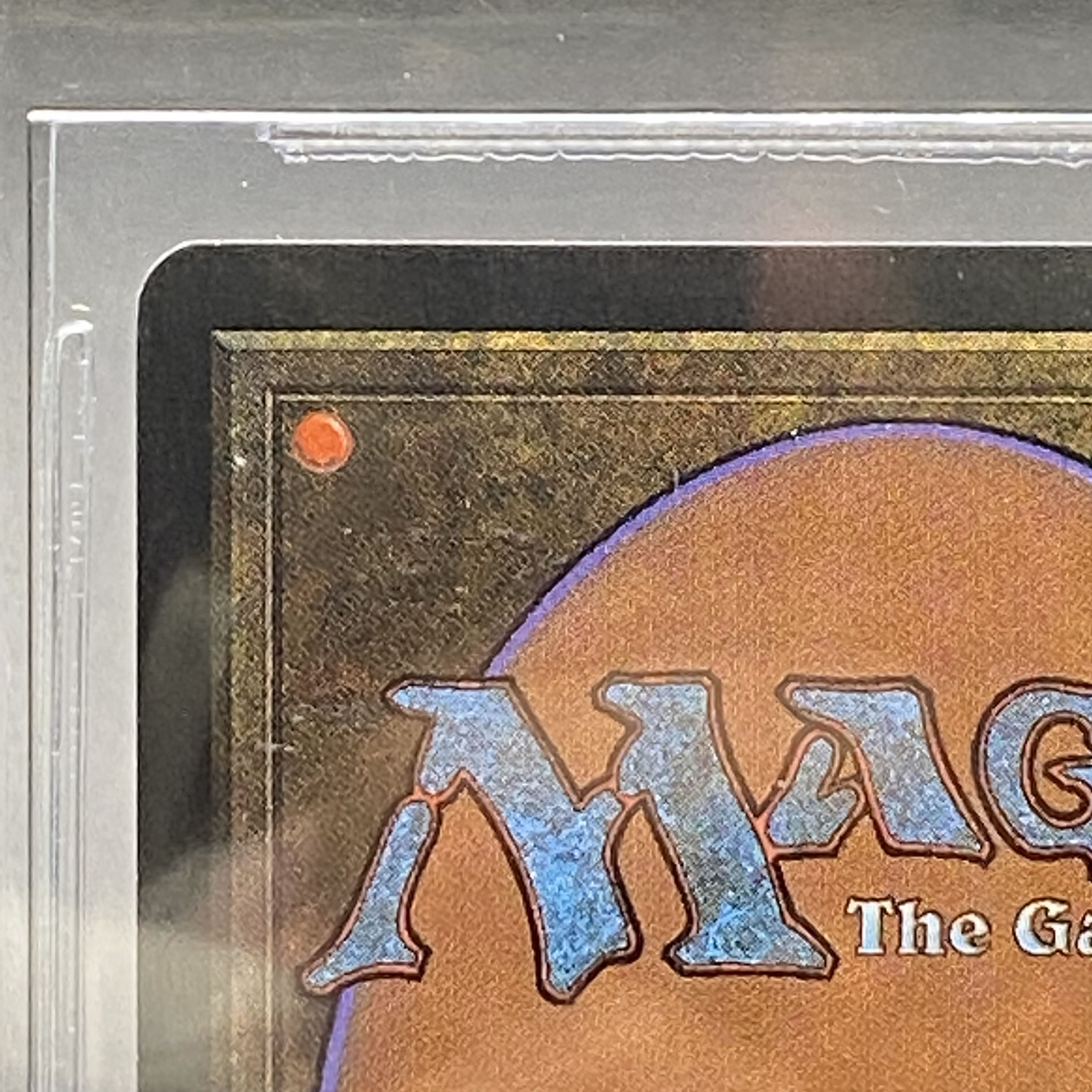 マジック：ザ・ギャザリング Tropical  LEB BGS9 Tropical Island》［LEB］BGS9の通販 土日祝休 magi公式(委託