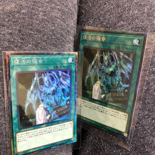 Evangelize collector's rare in Evangelize