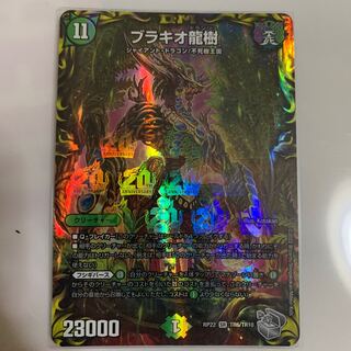 Brachio Ryuju Silver Treasure