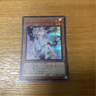 Ash Blossom & Joyous Spring (Umi ex-print illustration) Secret Rare Siku