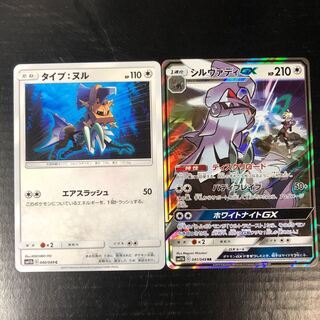 シルヴァディGX タイプ:ヌル セット