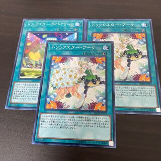 トリックスター・ブーケ レア JP055