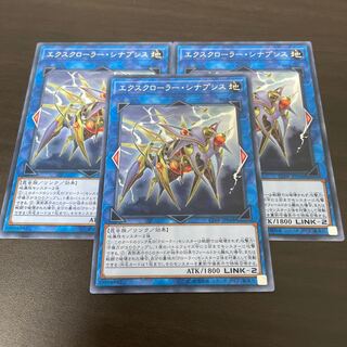 X-Krawler Synaphysis rare JP048