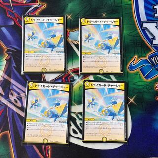 Triguard Charger 16/19