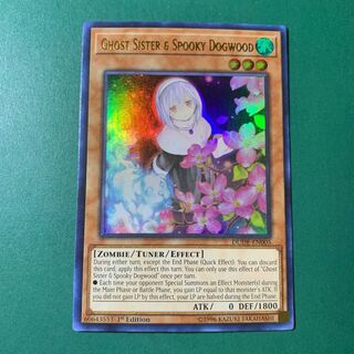 遊戯王【英語版】儚無みずき ウル