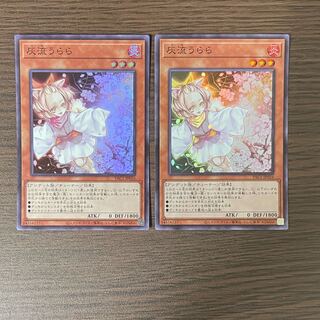 Ash Blossom & Joyous Spring Super Rare JP016