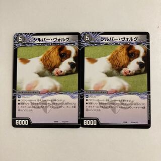 K125 Silver Volg｜Take Down King Geirr Killer Dragon (bottom) 2 DUEMA TREATLES