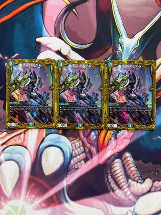 デドダム 3枚」の激安通販 | magi