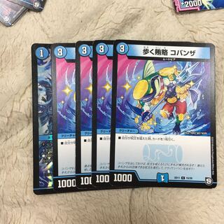 セイレーンコンチェルト コバンザ