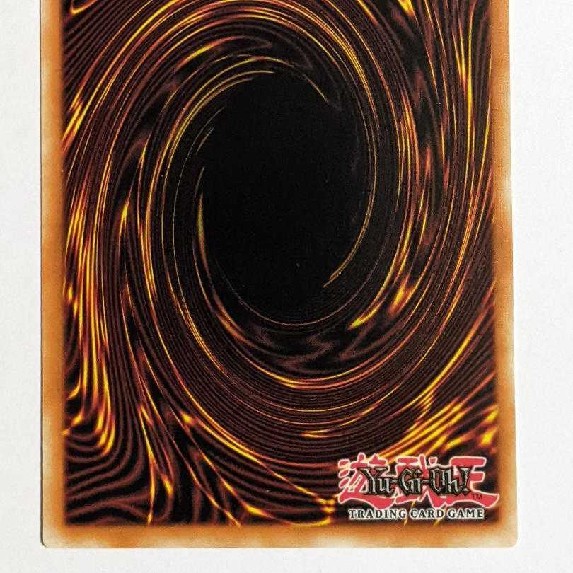 Premium English version Pregol Gold different illustration different picture Eldlich the Golden Lord