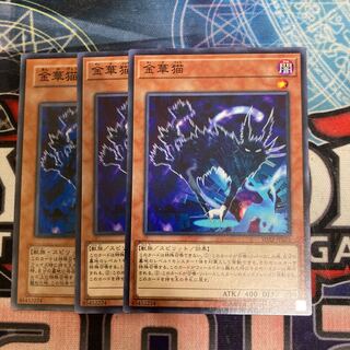 Kinka-byo Normal 3 sheets Special Price