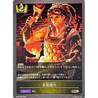 Armed Reinforcement Up to 3 BR