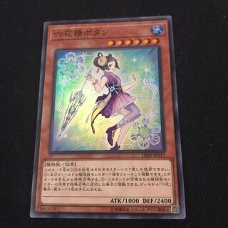 ☆ DBSS-JP017 [Super Rare]:Mudan the Rikka Fairy One copy