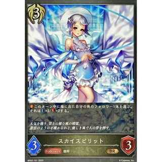 SKY SPIRIT BR up to 3