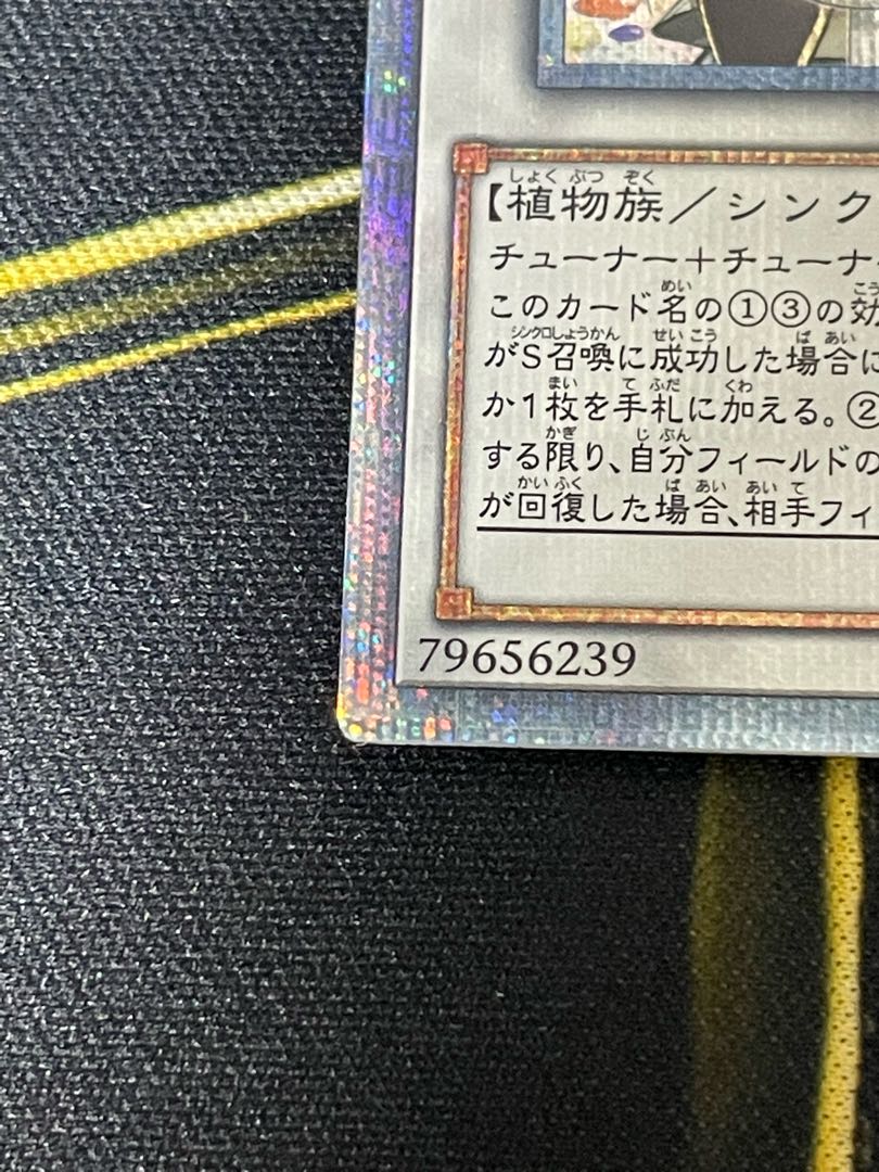 Aromatheraphy - Sweet Marjoram 20th Secret Rare JP034