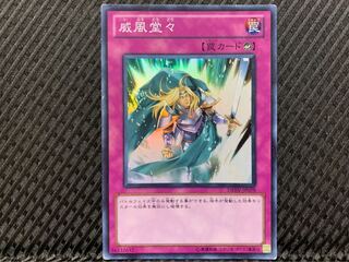 【ぽぽたん】遊戯王 -780 威風堂々 スーパー