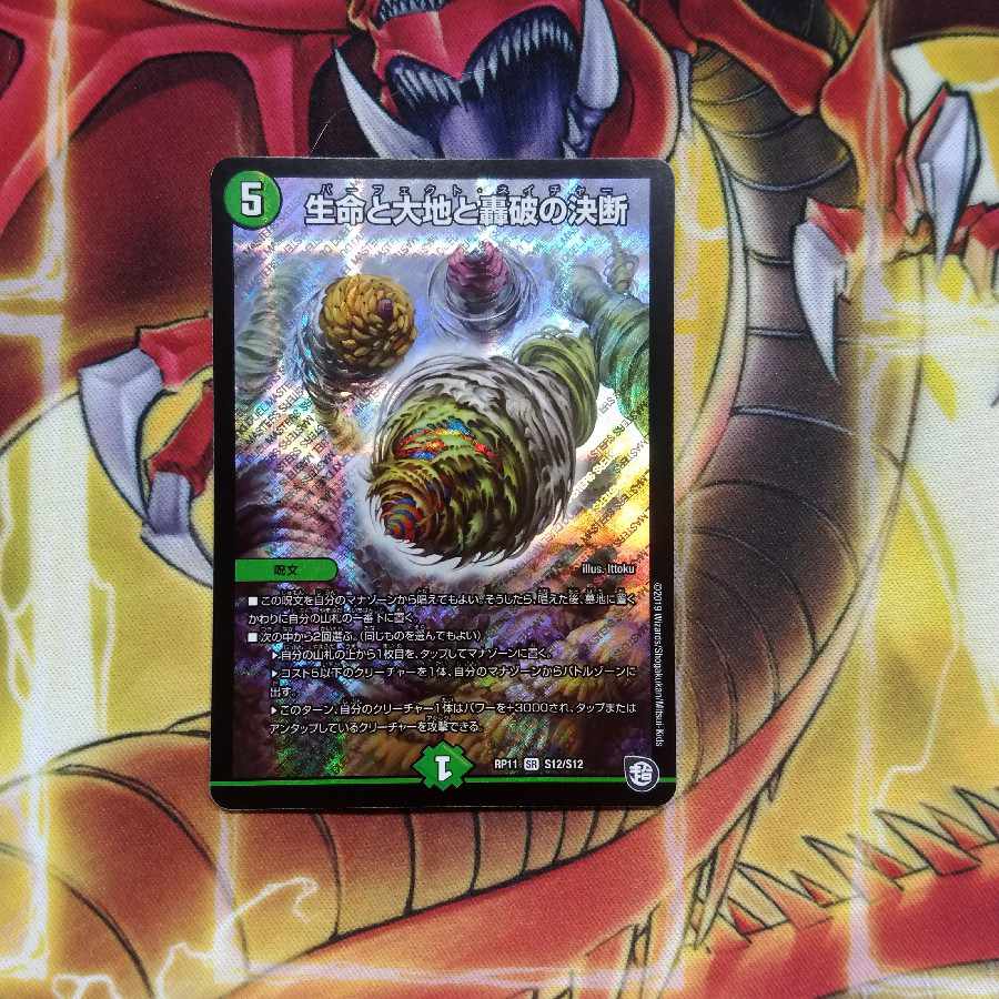 Life Life, Earth and Roaring Decision SR S12/S12