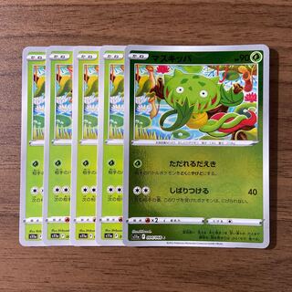 Carnivine (mirror) C 004/068 Total 5 pieces