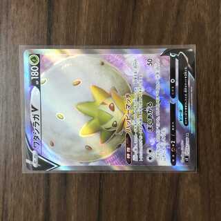 ワタシラガV SR 097/096