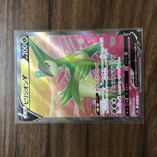 ビリジオンV SR 074/067