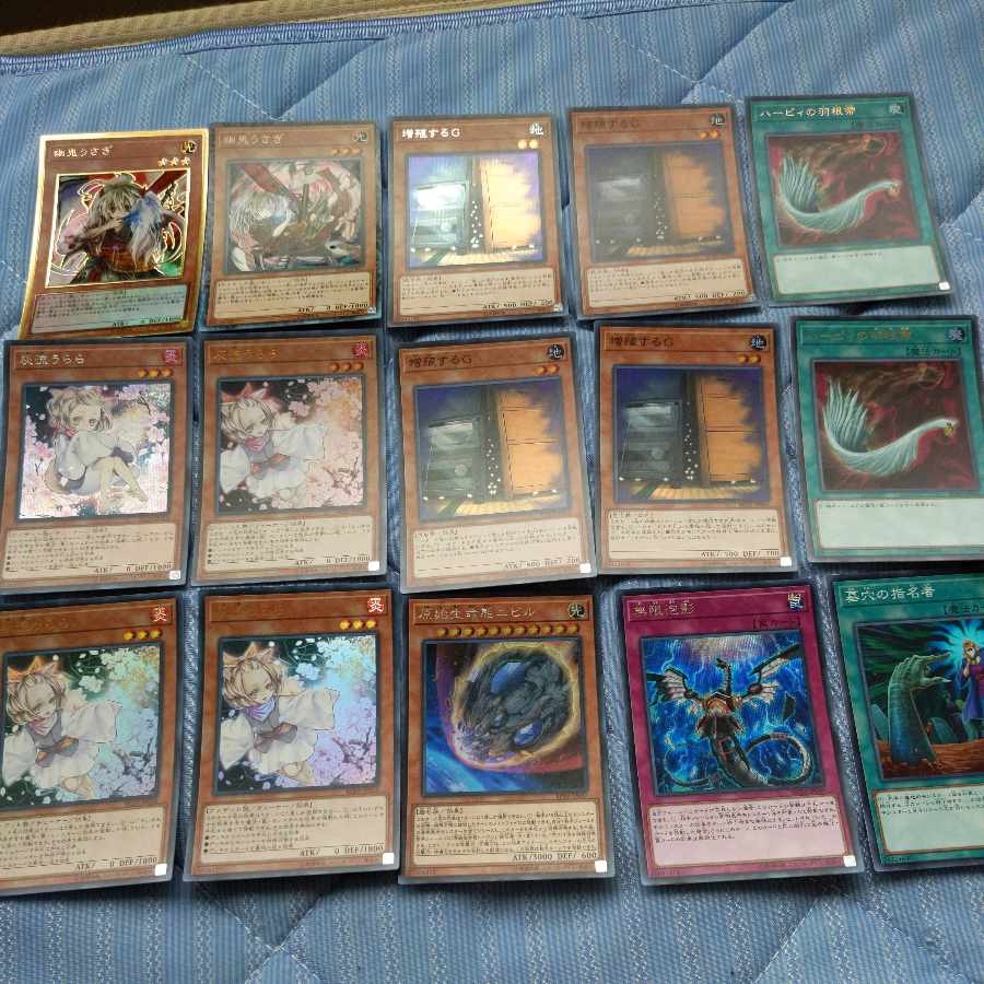 General Purpose Card Summary