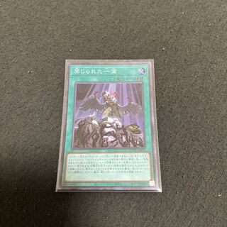 Forbidden Droplet Super Rare JP065