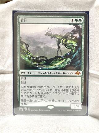 Endurance Myth Rare 157/303