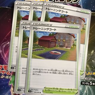 Training Court 5 cards