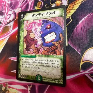 ダンディ・ナスオ 1枚