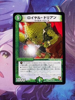 Royal Durian R 61/84