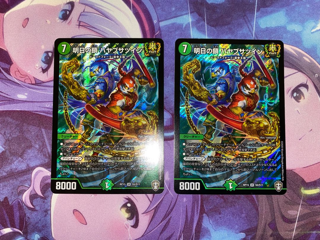 Chain of Tomorrow Hayabusa Twin SR S5/S11 2 pieces