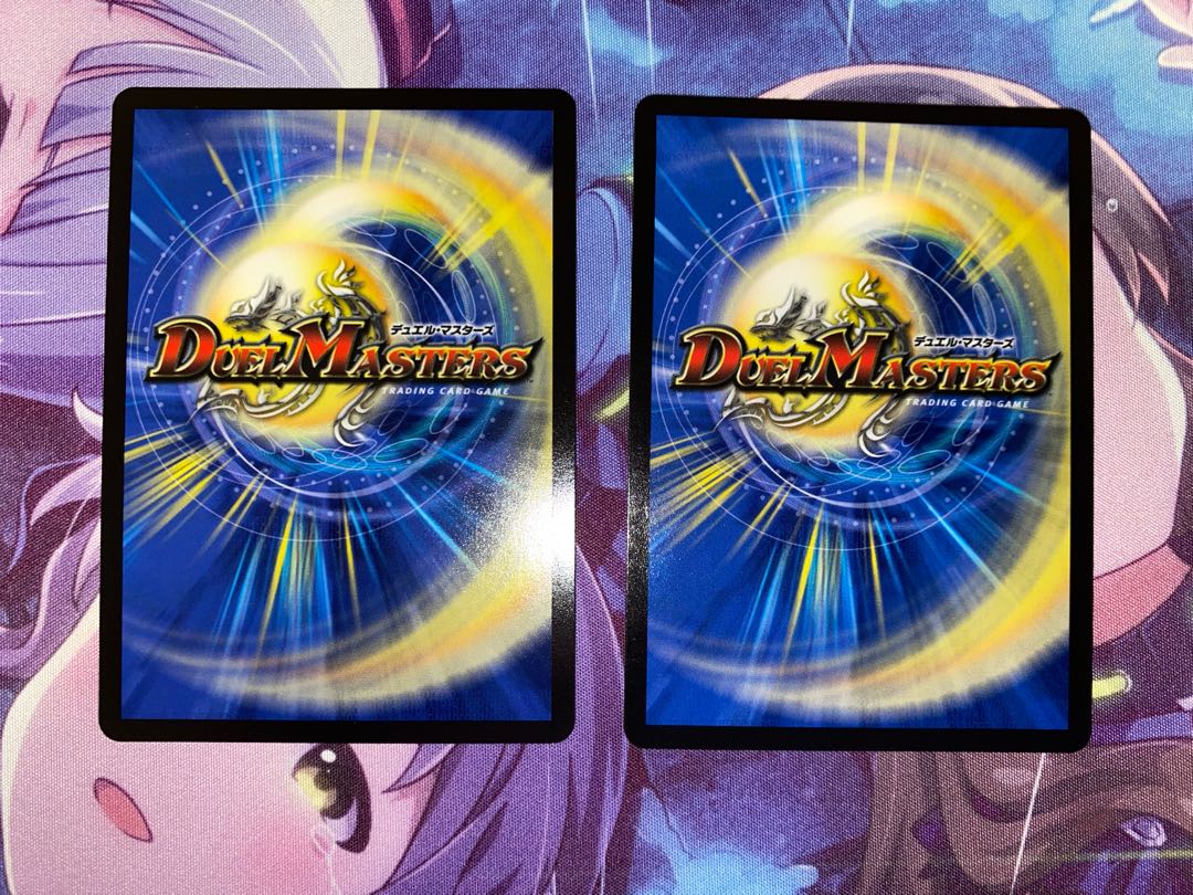 Chain of Tomorrow Hayabusa Twin SR S5/S11 2 pieces