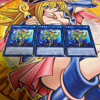 計量機塊カッパスケール